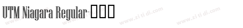UTM Niagara Regular字体转换